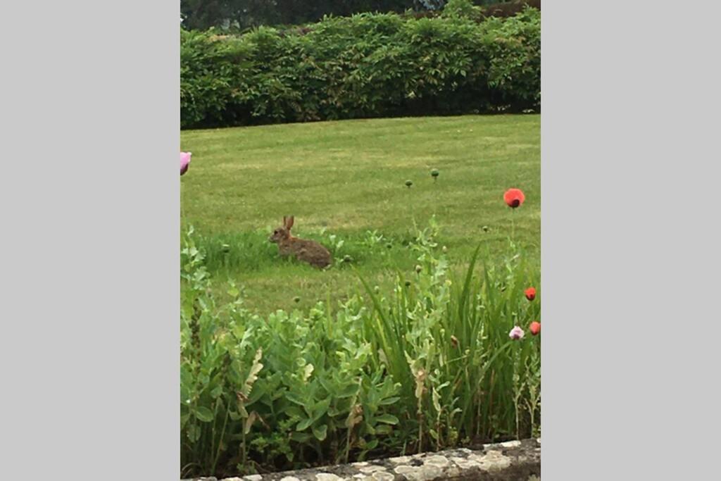 Stay On The Grounds Of This Beautiful Manor House Wimborne Minster Esterno foto