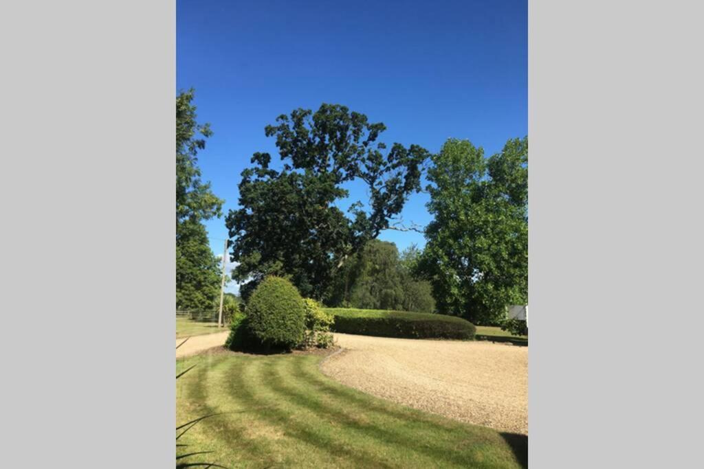 Stay On The Grounds Of This Beautiful Manor House Wimborne Minster Esterno foto