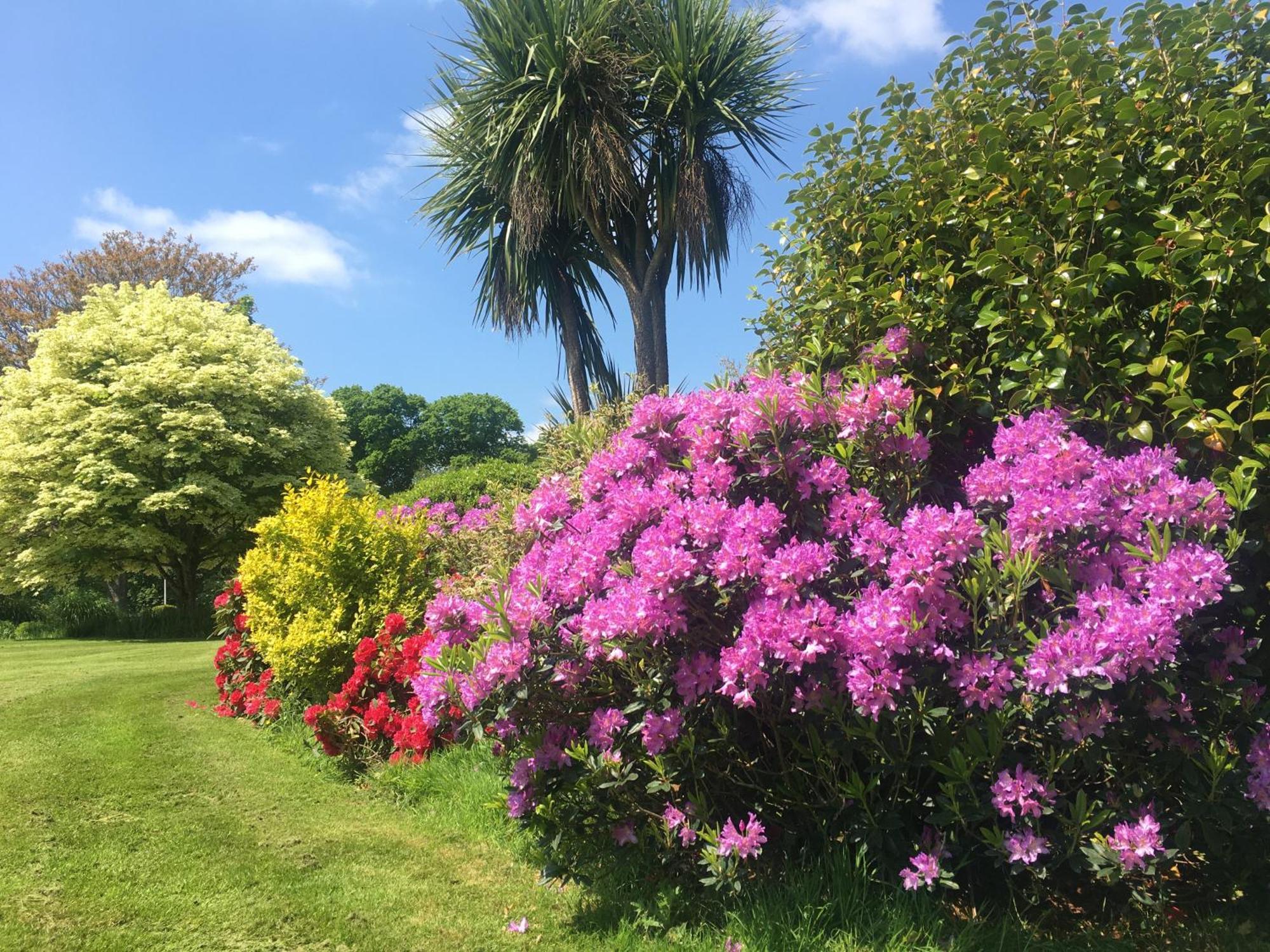 Stay On The Grounds Of This Beautiful Manor House Wimborne Minster Esterno foto